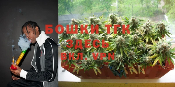 Альфа ПВП Аркадак