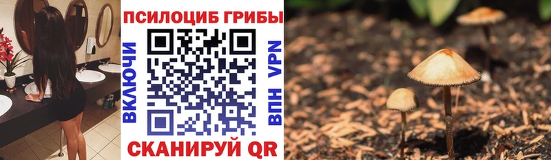 наркота  Нязепетровск  Псилоцибиновые грибы прущие грибы 